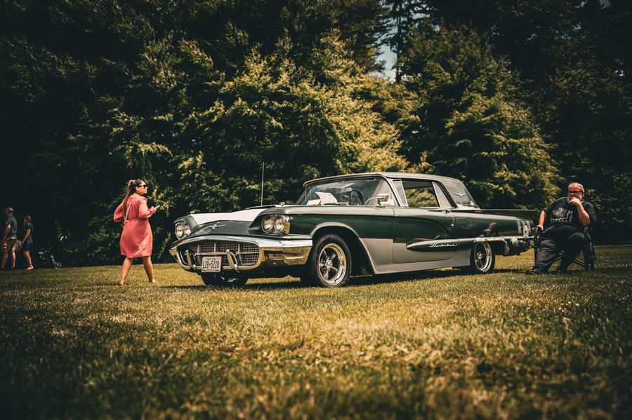 Classic Thunderbird parked in a green field